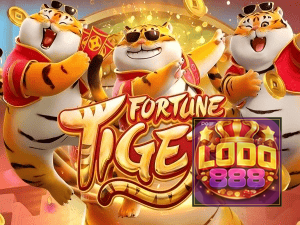 Guia install APK LOBO888 BR